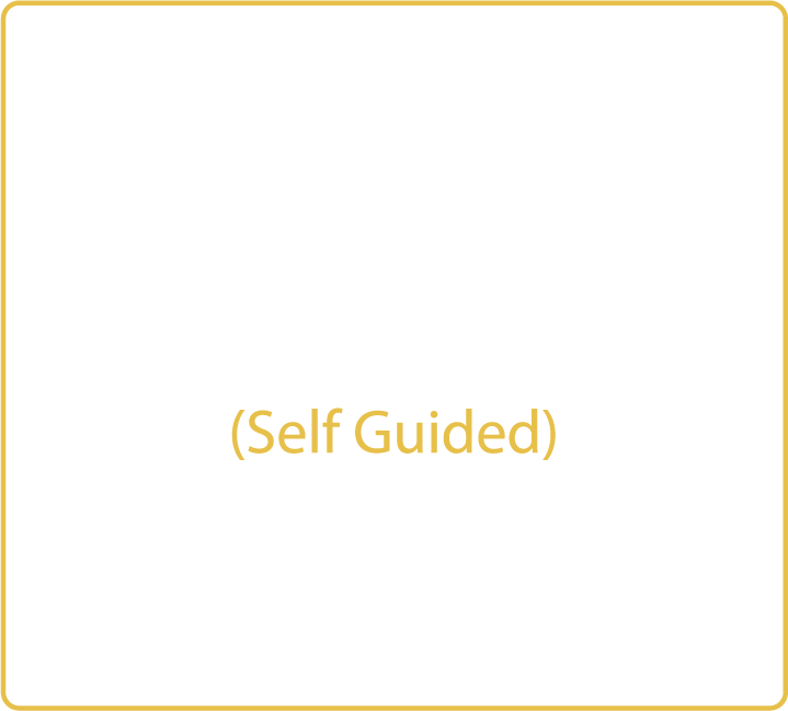 Book an unguided tour of the Gardens and Stables